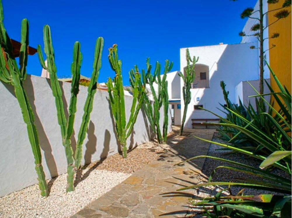 Hostal Dona Lola Marina Zahara de los Atunes Dış mekan fotoğraf